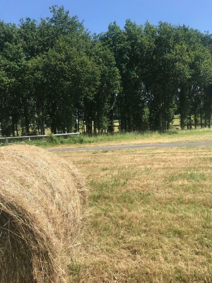 Les Chambres D'Hotes De Rânes Eksteriør billede